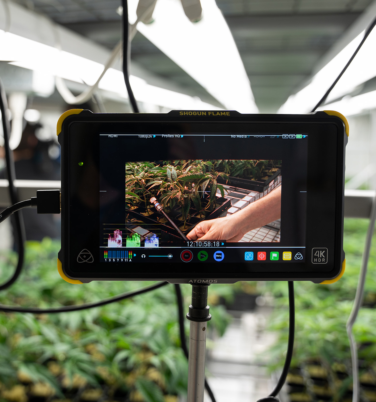 video monitor screen in greenhouse